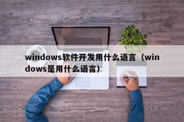windows软件开发用什么语言(windows是用什么语言)
