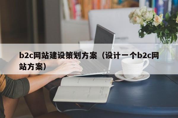 b2c网站建设策划方案(设计一个b2c网站方案)